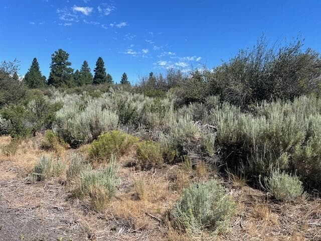 pic 4. Photo 1 of 3, Wrightwood Unit Lot 16, Chiloquin, OR 97624