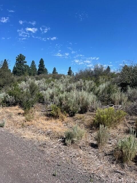 pic 1. Photo 2 of 3, Wrightwood Unit Lot 17, Chiloquin, OR 97624