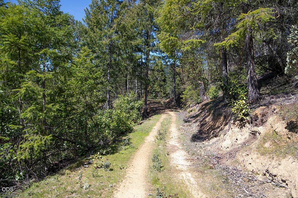 5. Photo 5 of 42, 740 Warner Road, Wolf Creek, OR 97497
