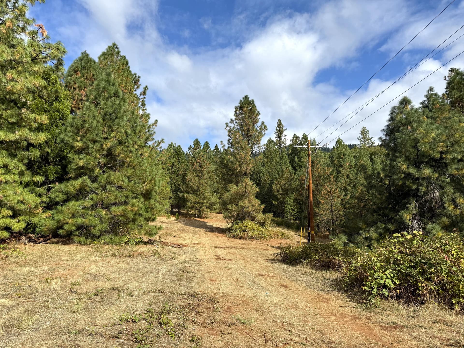 IMG_8196. Photo 2 of 15, 6400 Tunnel Loop Road, Grants Pass, OR 97526