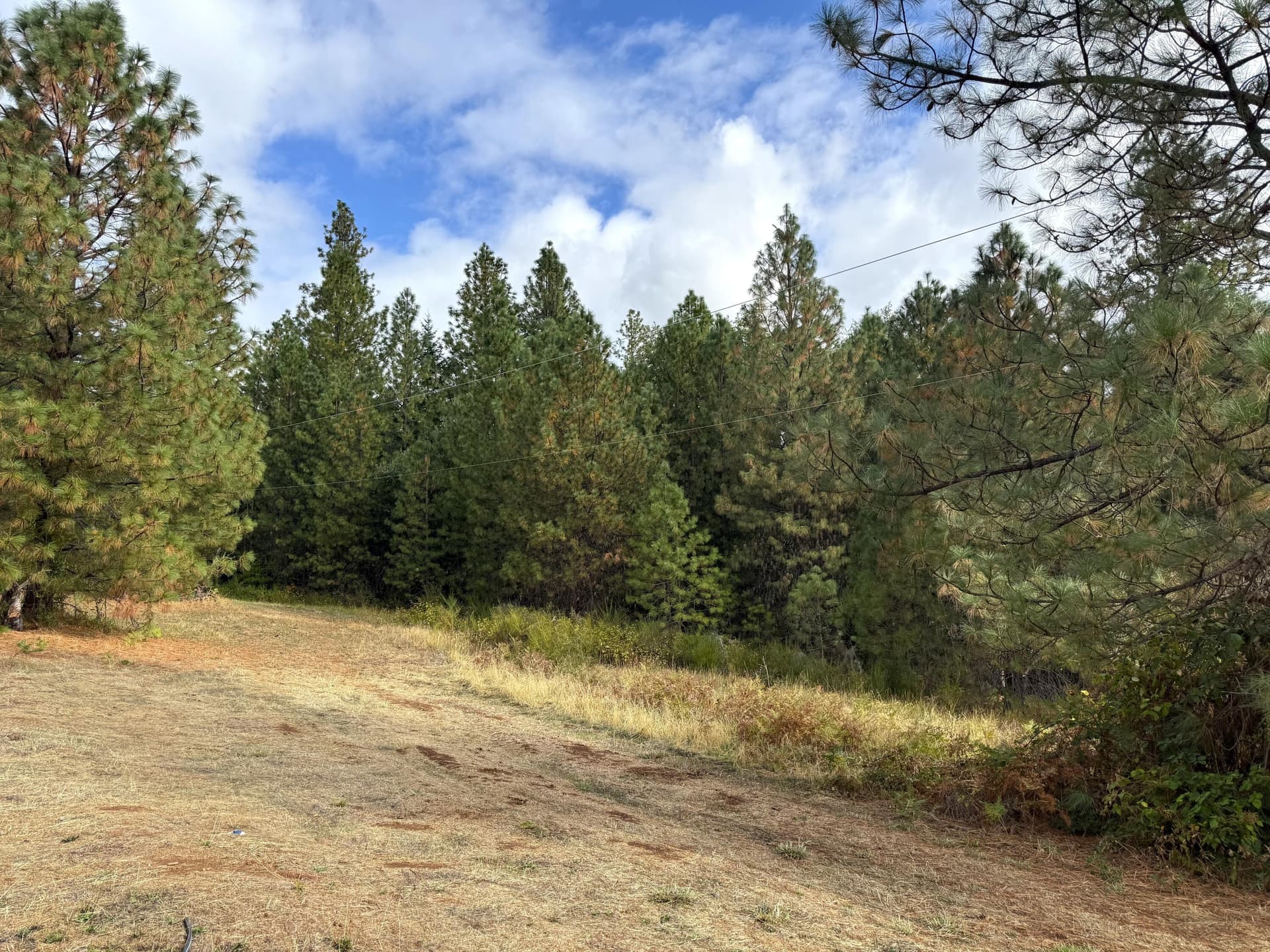 IMG_8200. Photo 5 of 15, 6400 Tunnel Loop Road, Grants Pass, OR 97526