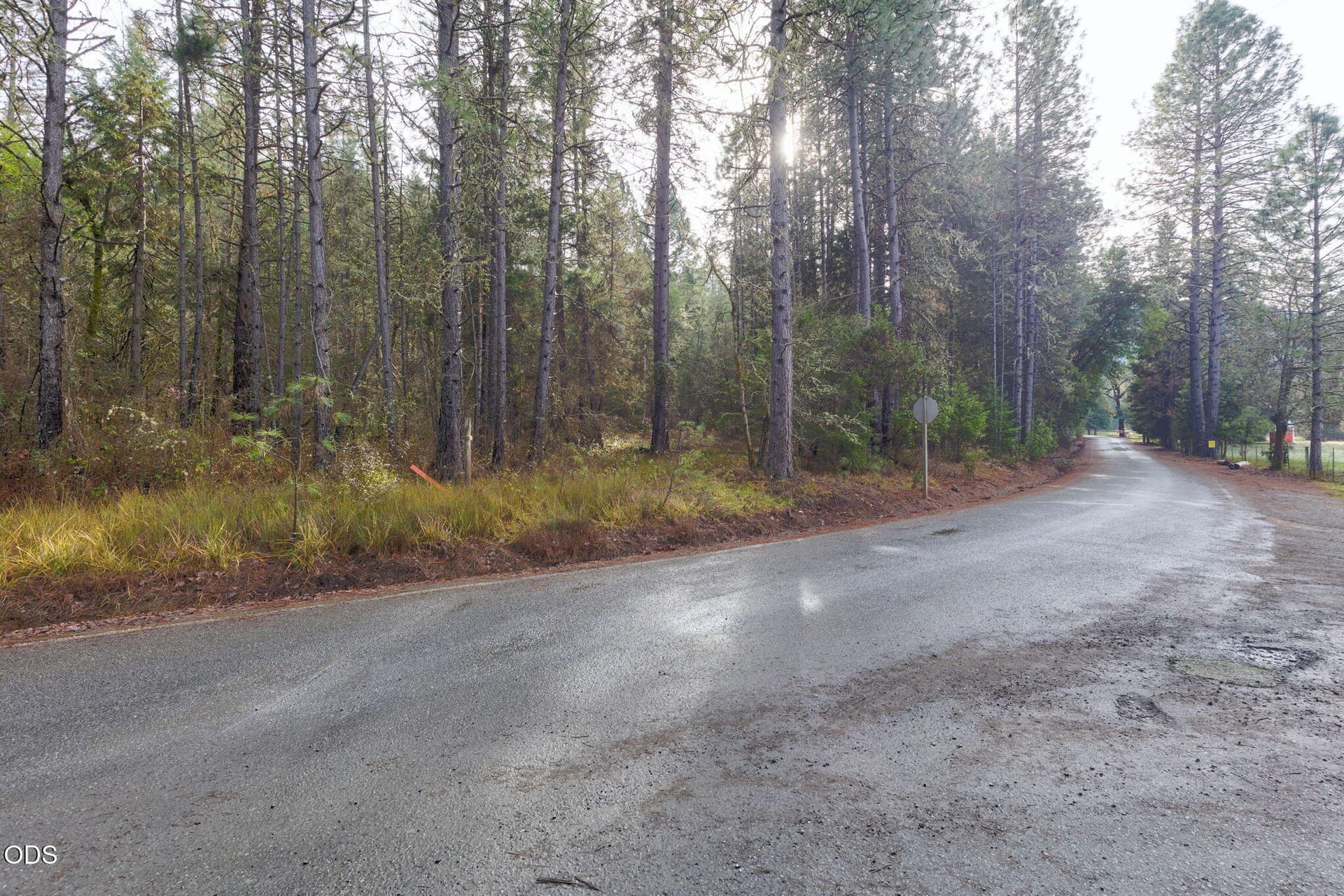 large-019be38f-964e-70a5-9437-a9a77f177f. Photo 2 of 12, Old Stage, Wolf Creek, OR 97497