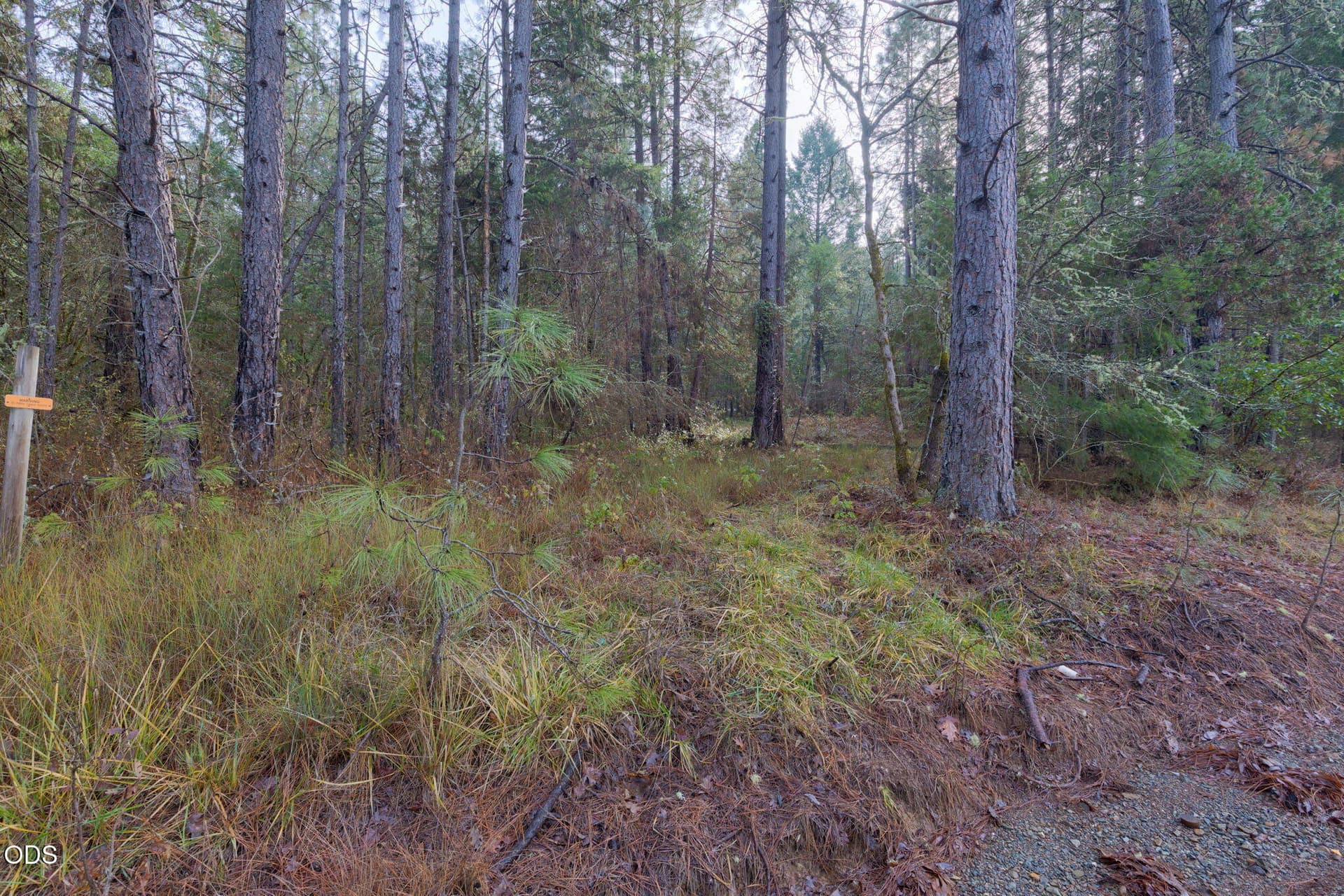 large-019be38f-96b9-70da-87d6-422f0460cb. Photo 3 of 12, Old Stage, Wolf Creek, OR 97497