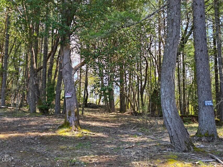 Land. Photo 1 of 1, 6715 W Side Road, Cave Junction, OR 97523