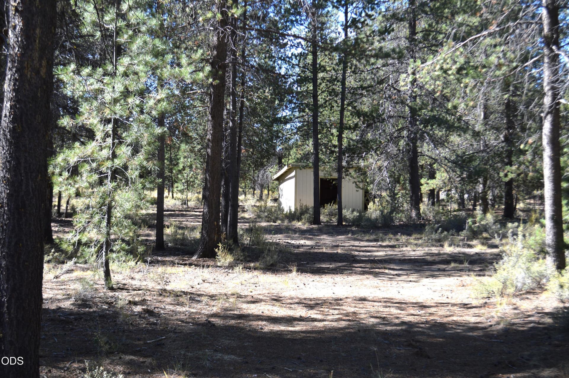 Driveway. Photo 5 of 22, 52886 Wayside Loop, La Pine, OR 97739