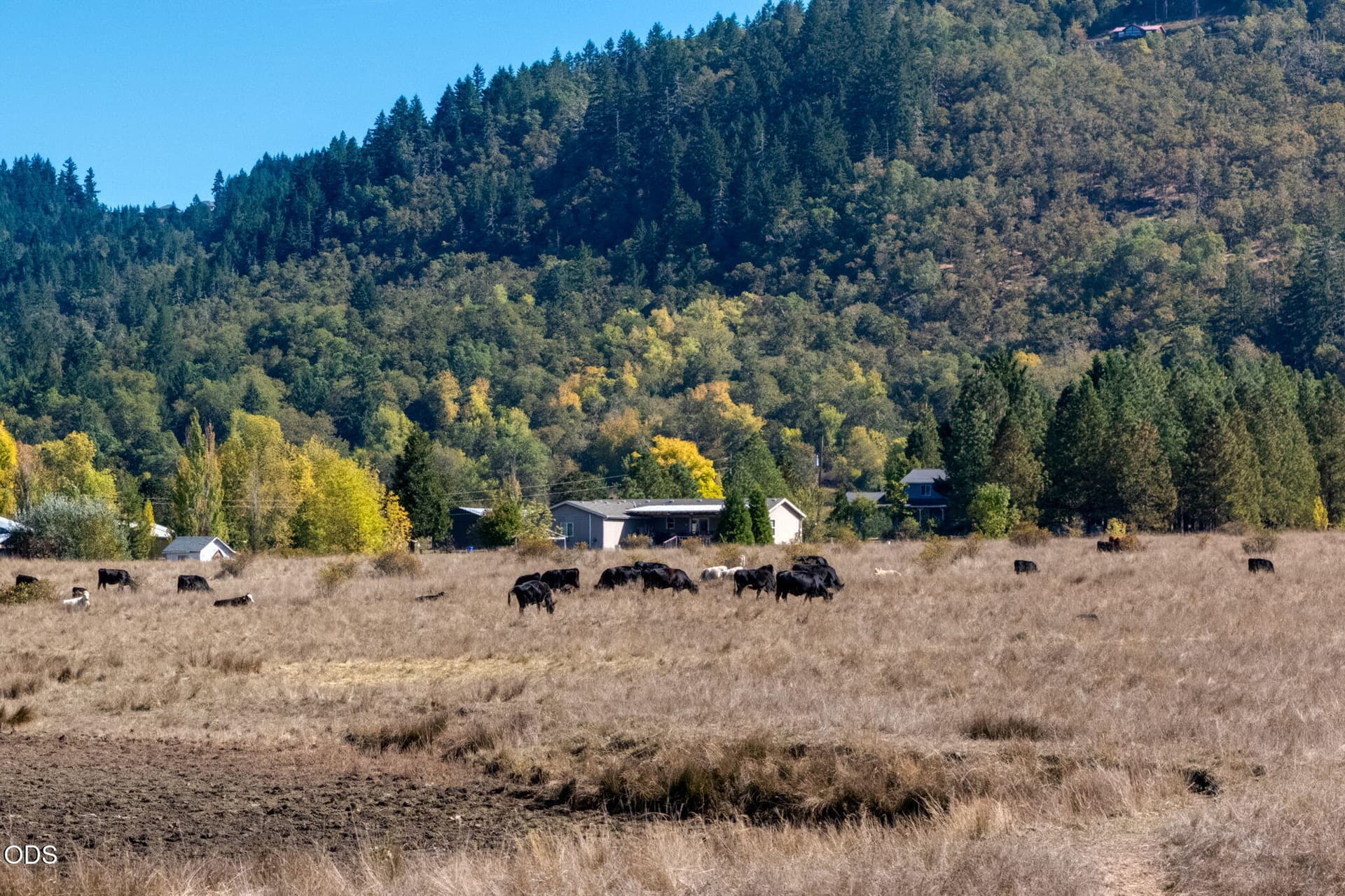 10-web-or-mls-Lookingglass Drive-10. Photo 2 of 47, 5961 Lookingglass Road, Roseburg, OR 97471