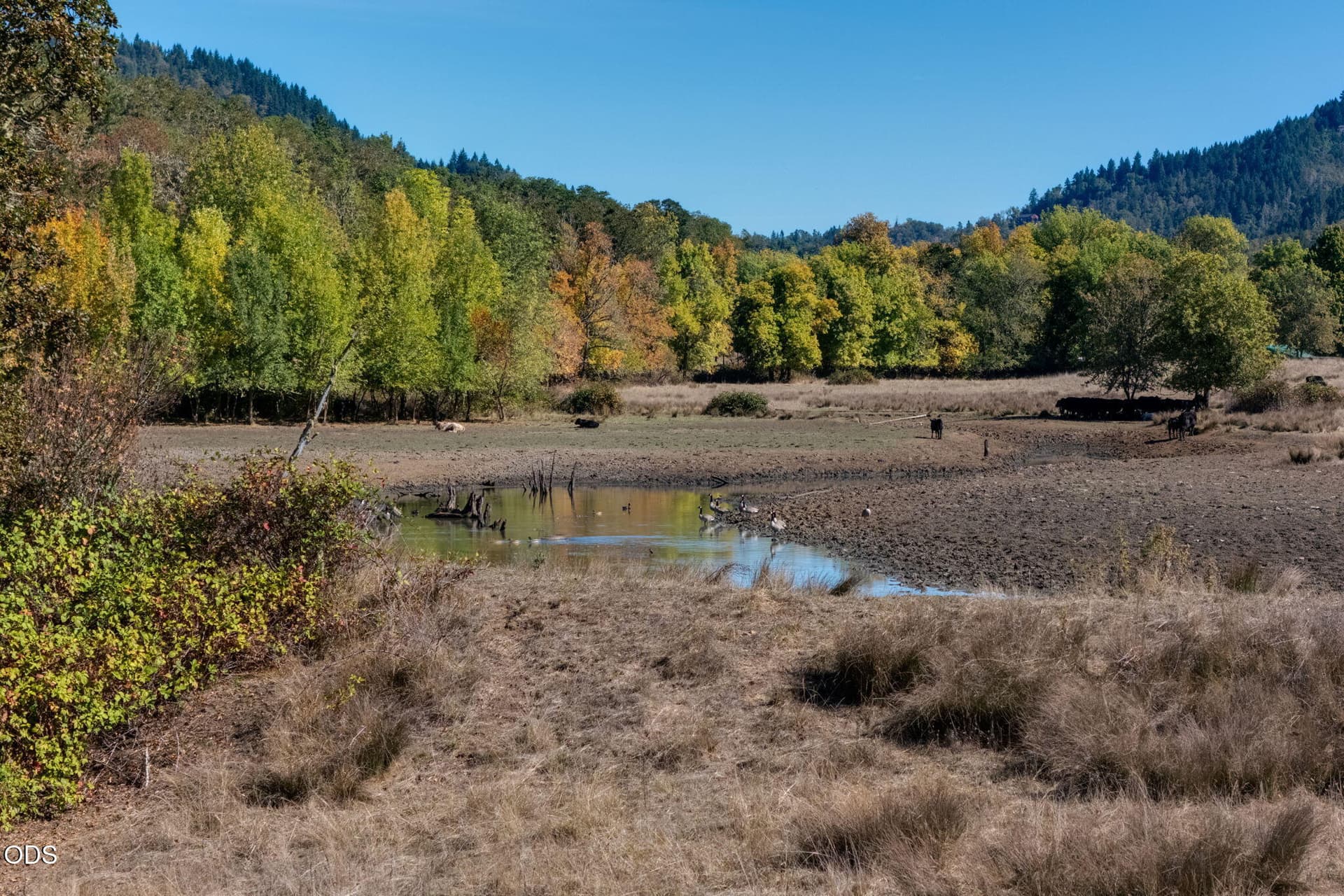 8-web-or-mls-Lookingglass Drive-8. Photo 3 of 47, 5961 Lookingglass Road, Roseburg, OR 97471