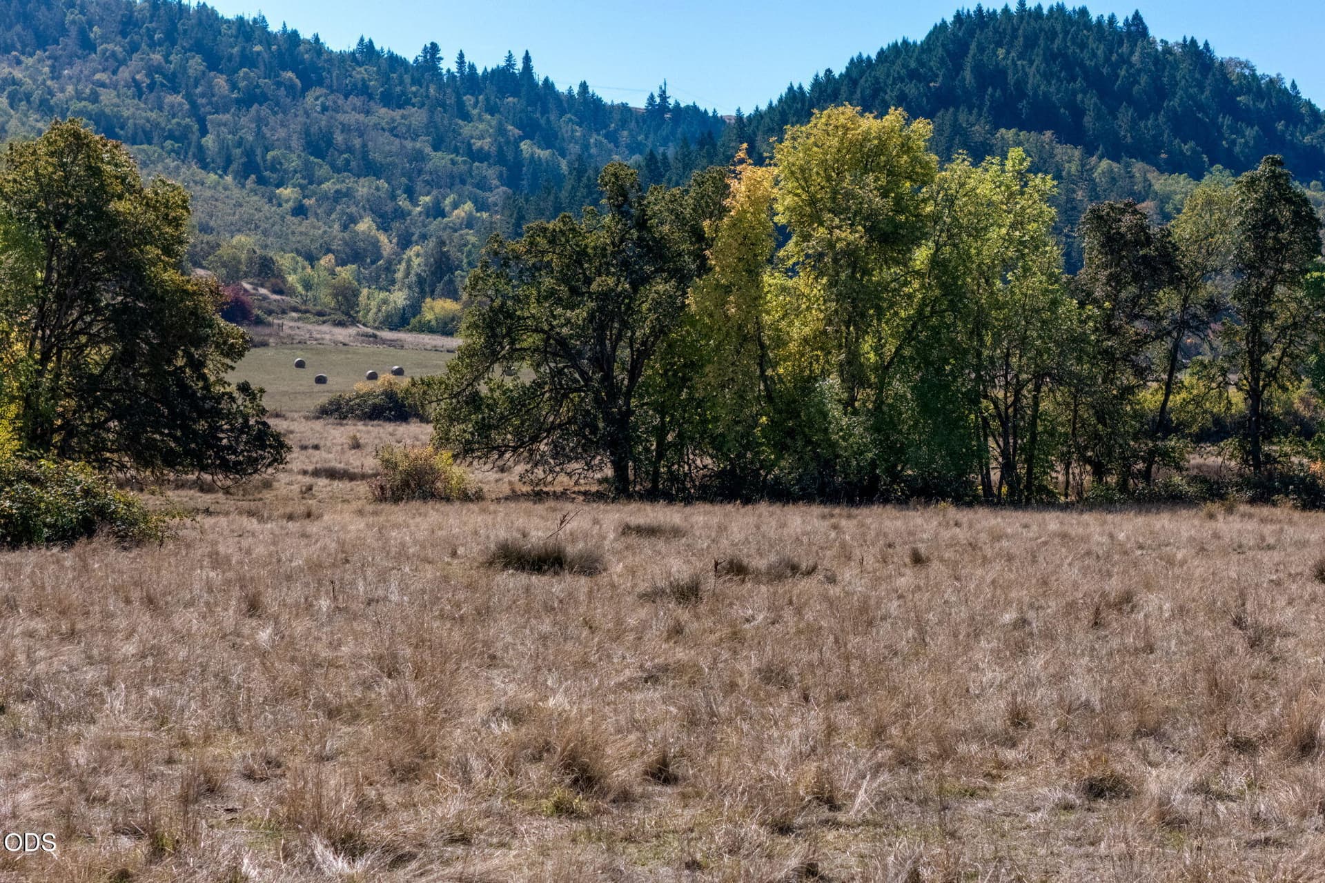 16-web-or-mls-Lookingglass Drive-16. Photo 4 of 47, 5961 Lookingglass Road, Roseburg, OR 97471