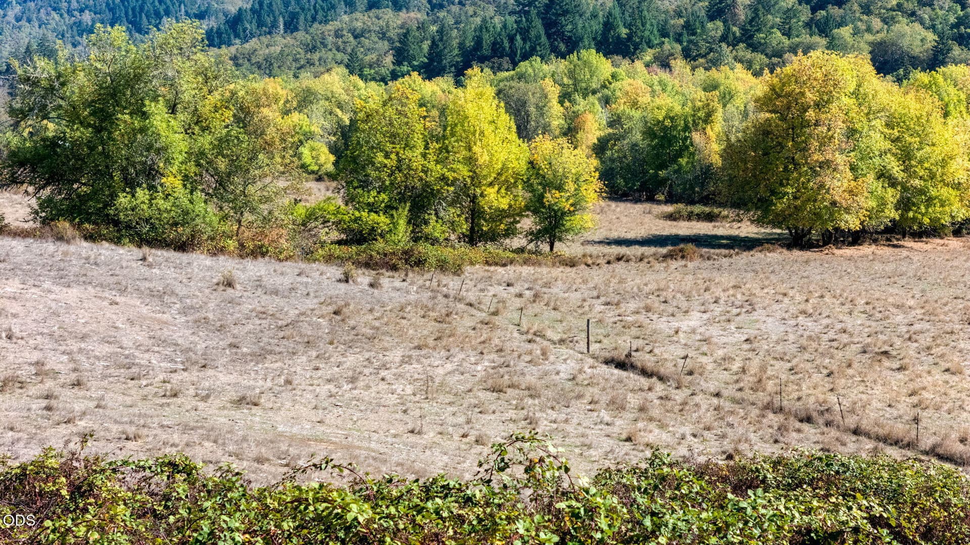 20-web-or-mls-Lookingglass Drive-20. Photo 5 of 47, 5961 Lookingglass Road, Roseburg, OR 97471