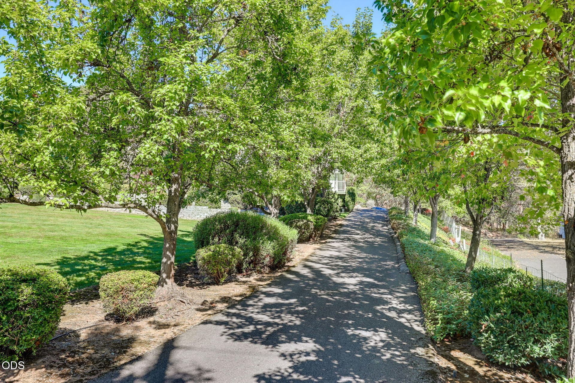 4-Tree Lined Drive. Photo 4 of 39, 42 Tenney Drive, Rogue River, OR 97537