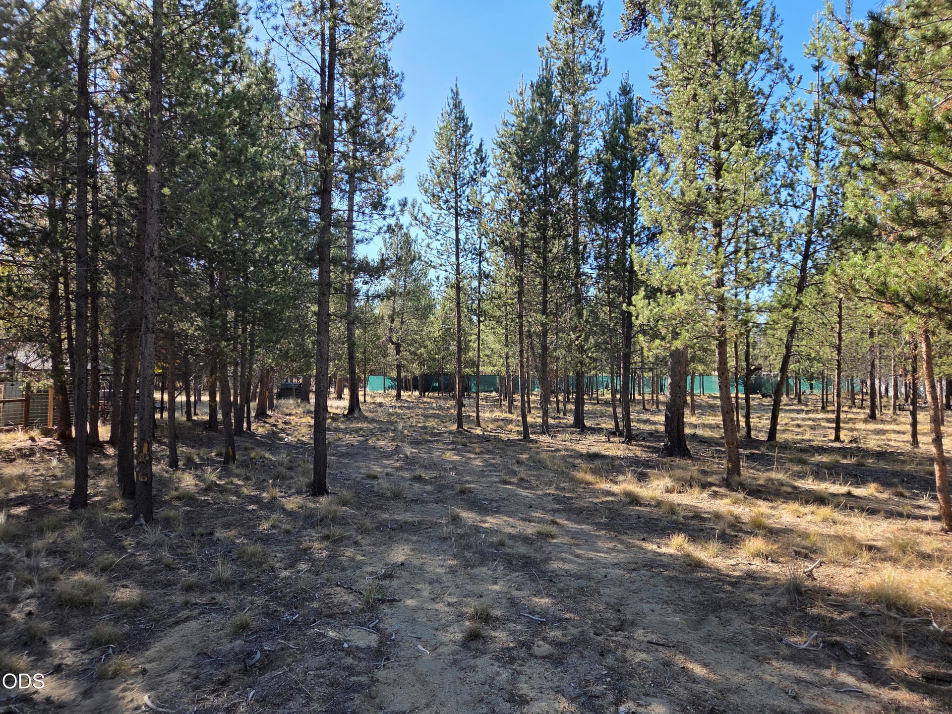 3 - #3. Photo 3 of 5, Beechwood Drive Unit TL 4100, La Pine, OR 97739