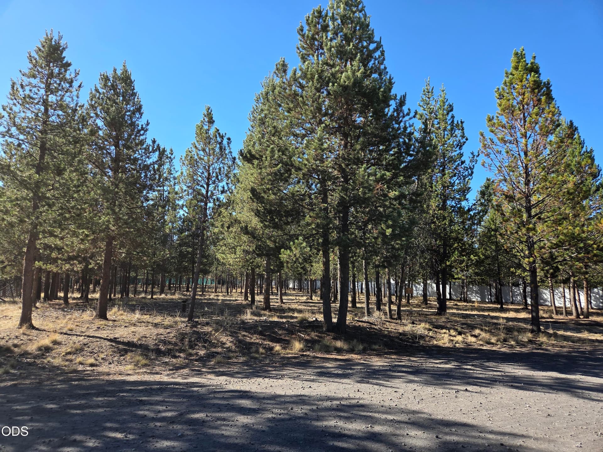 4 - #4. Photo 4 of 5, Beechwood Drive Unit TL 4100, La Pine, OR 97739