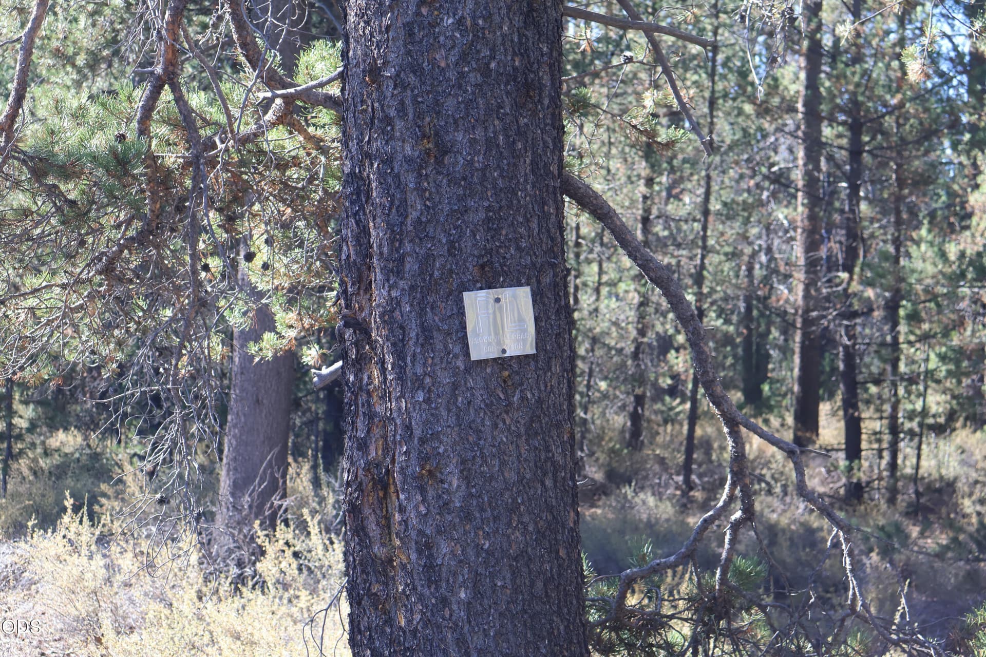 IMG_0006. Photo 2 of 12, U.S. 97 Unit 201, Chemult, OR 97731