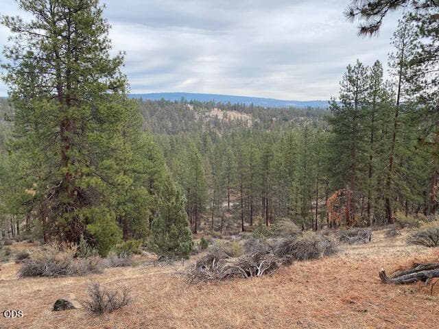 Great View. Photo 1 of 1, 0 Widgeon Dr, Bonanza, OR 97623