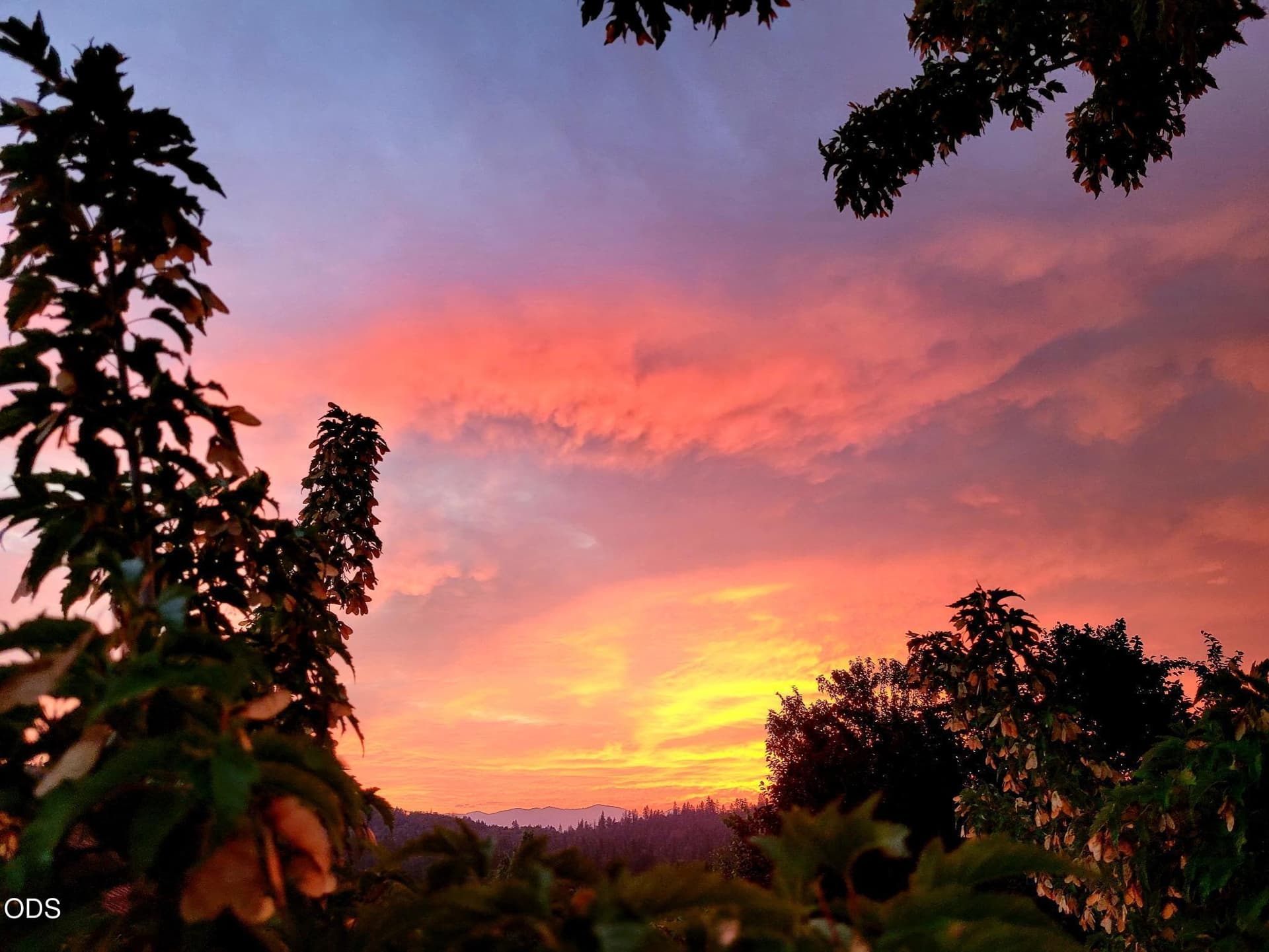 sunset. Photo 3 of 3, 224 Landau Lane, Grants Pass, OR 97527