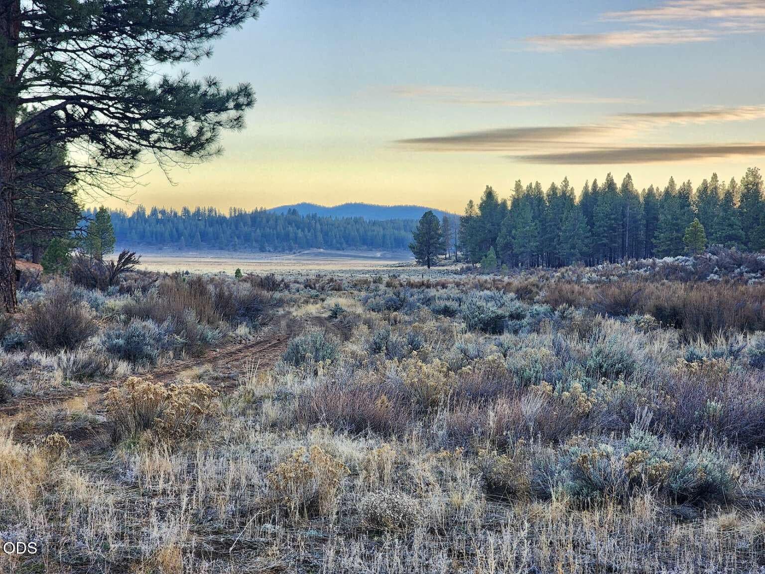 Sharp.1. Photo 1 of 28, 20 Tableland Road, Sprague River, OR 97639