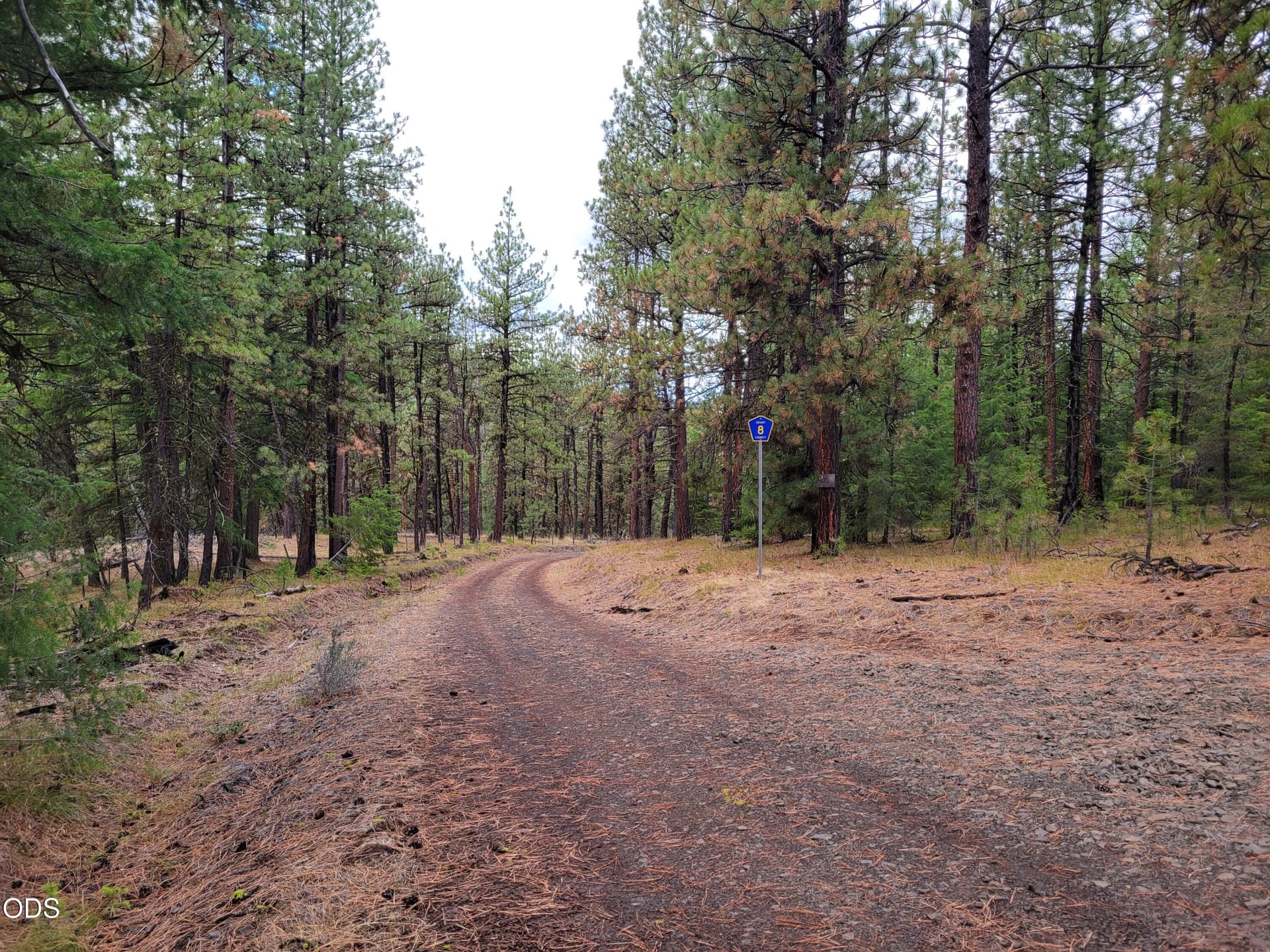 1000006822. Photo 3 of 19, 38398 Hamilton Road, Long Creek, OR 97856