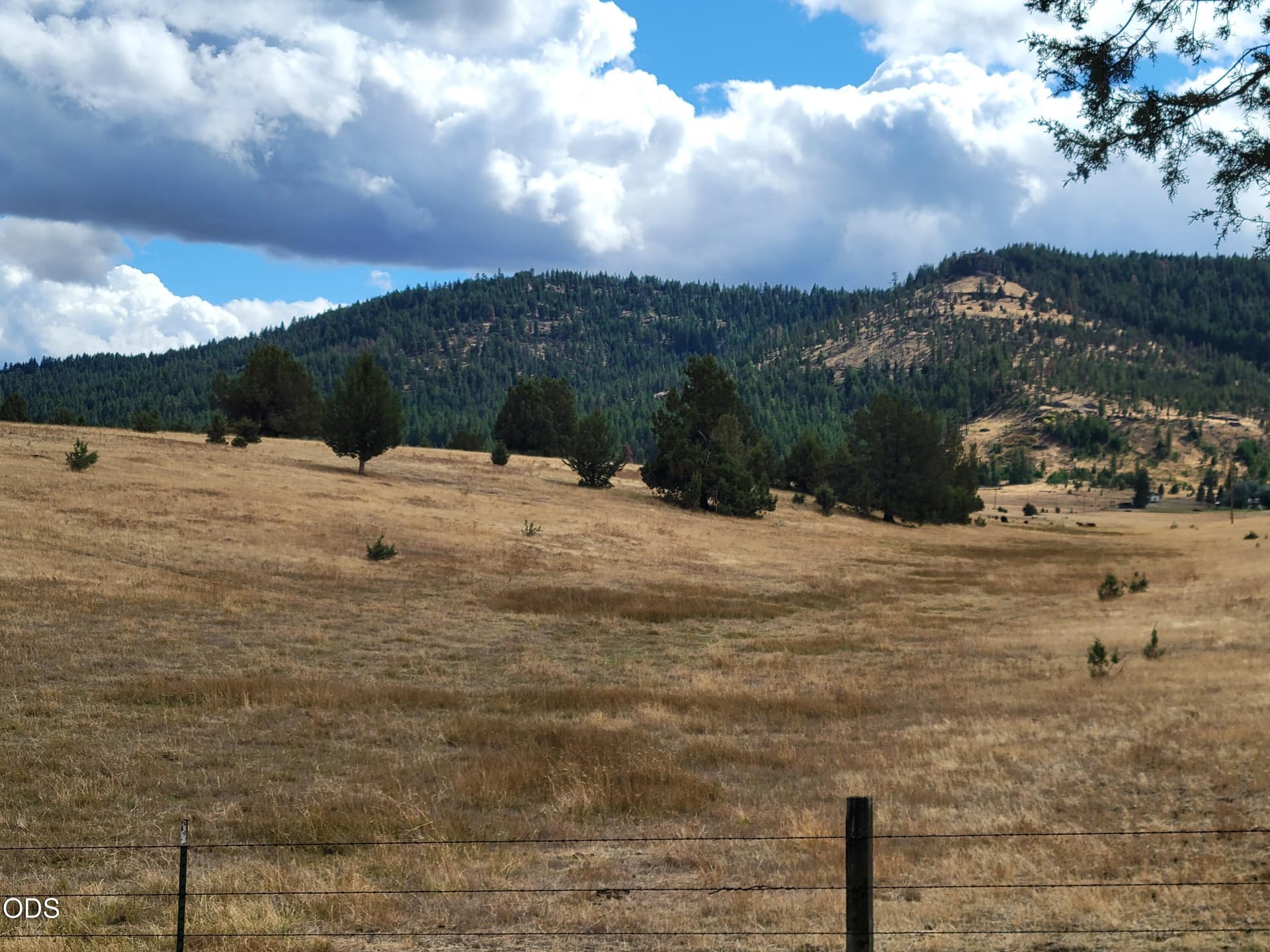 1000006829. Photo 4 of 19, 38398 Hamilton Road, Long Creek, OR 97856