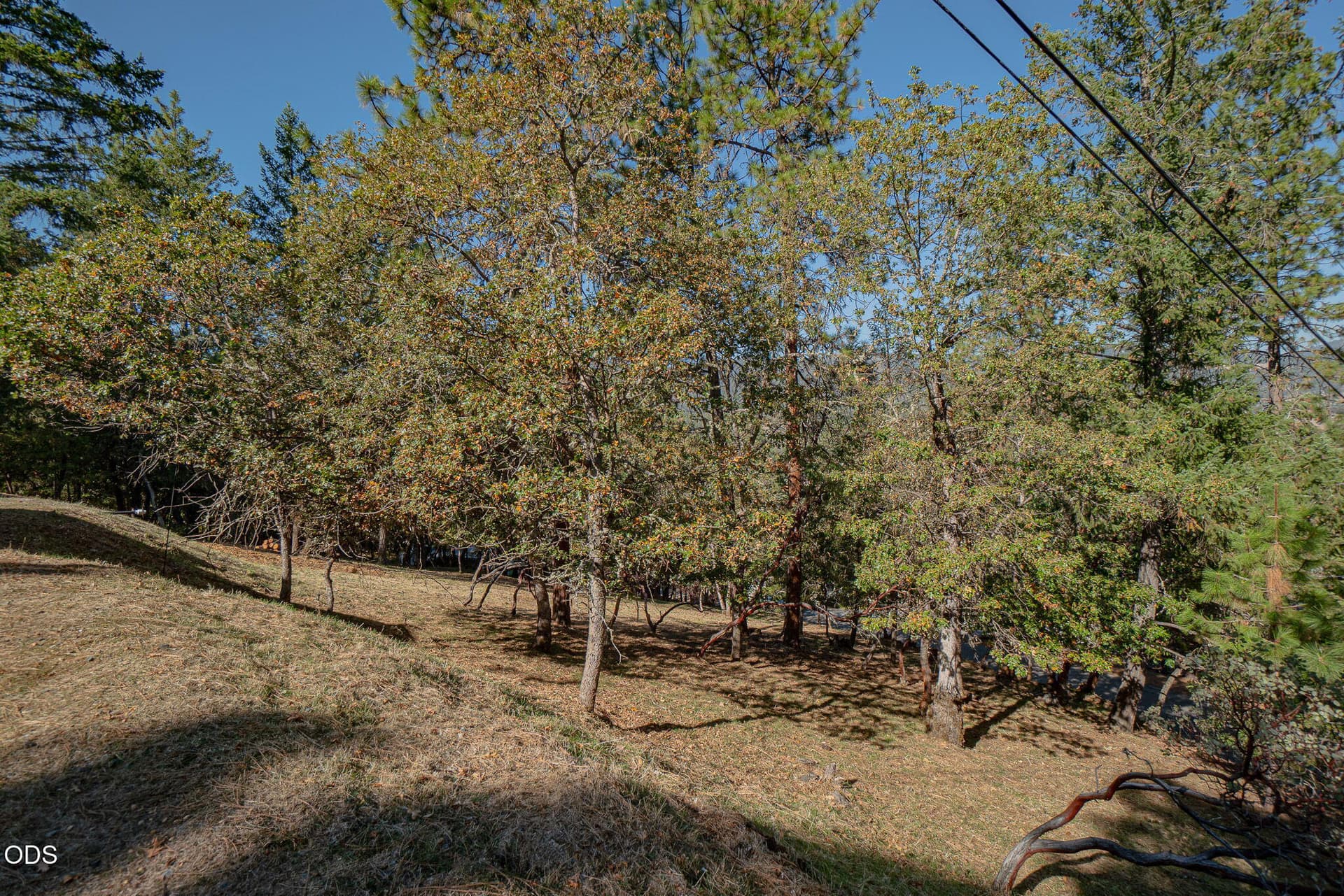 6-web-or-mls-DSC00005-HDR. Photo 3 of 7, 326 Laurelwood Drive, Jacksonville, OR 97530