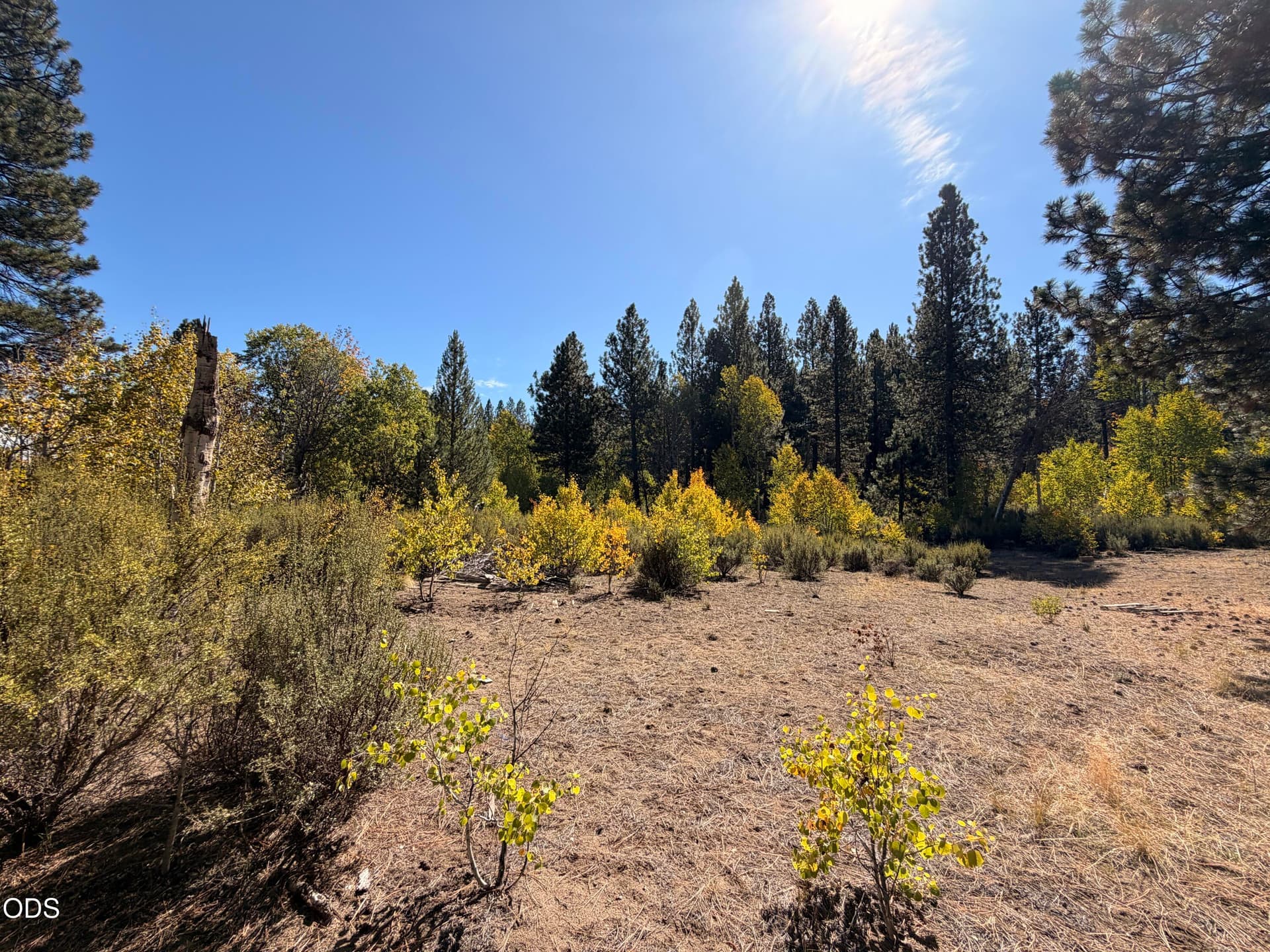 1. Photo 1 of 20, 0 Highway 97 Unit 188950, Chiloquin, OR 97624