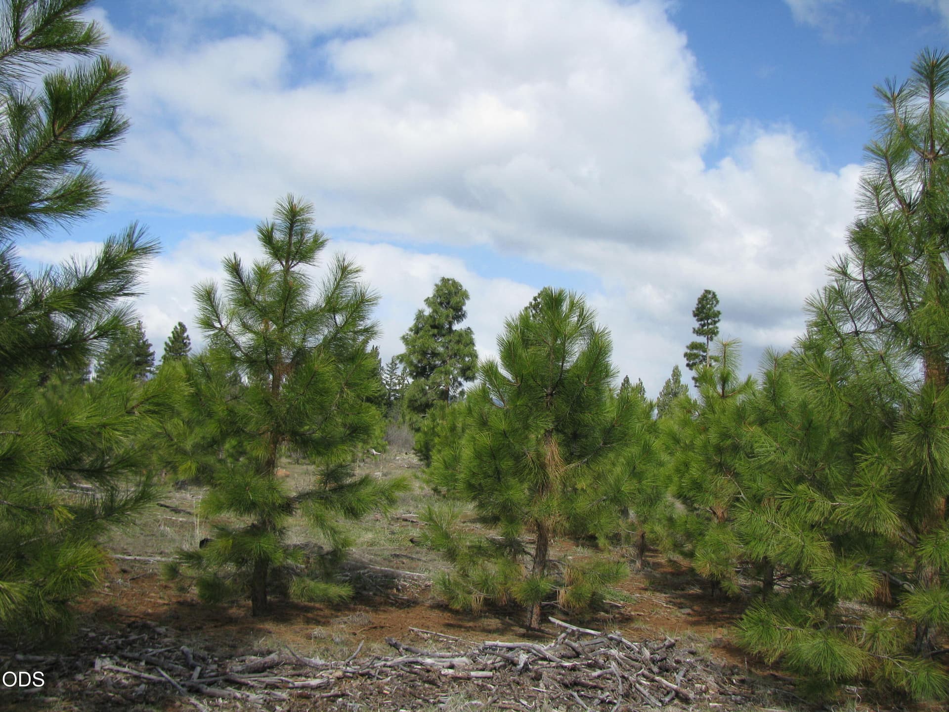 Lot. Photo 1 of 11, 0 Greensprings Drive Unit 2200, Klamath Falls, OR 97601