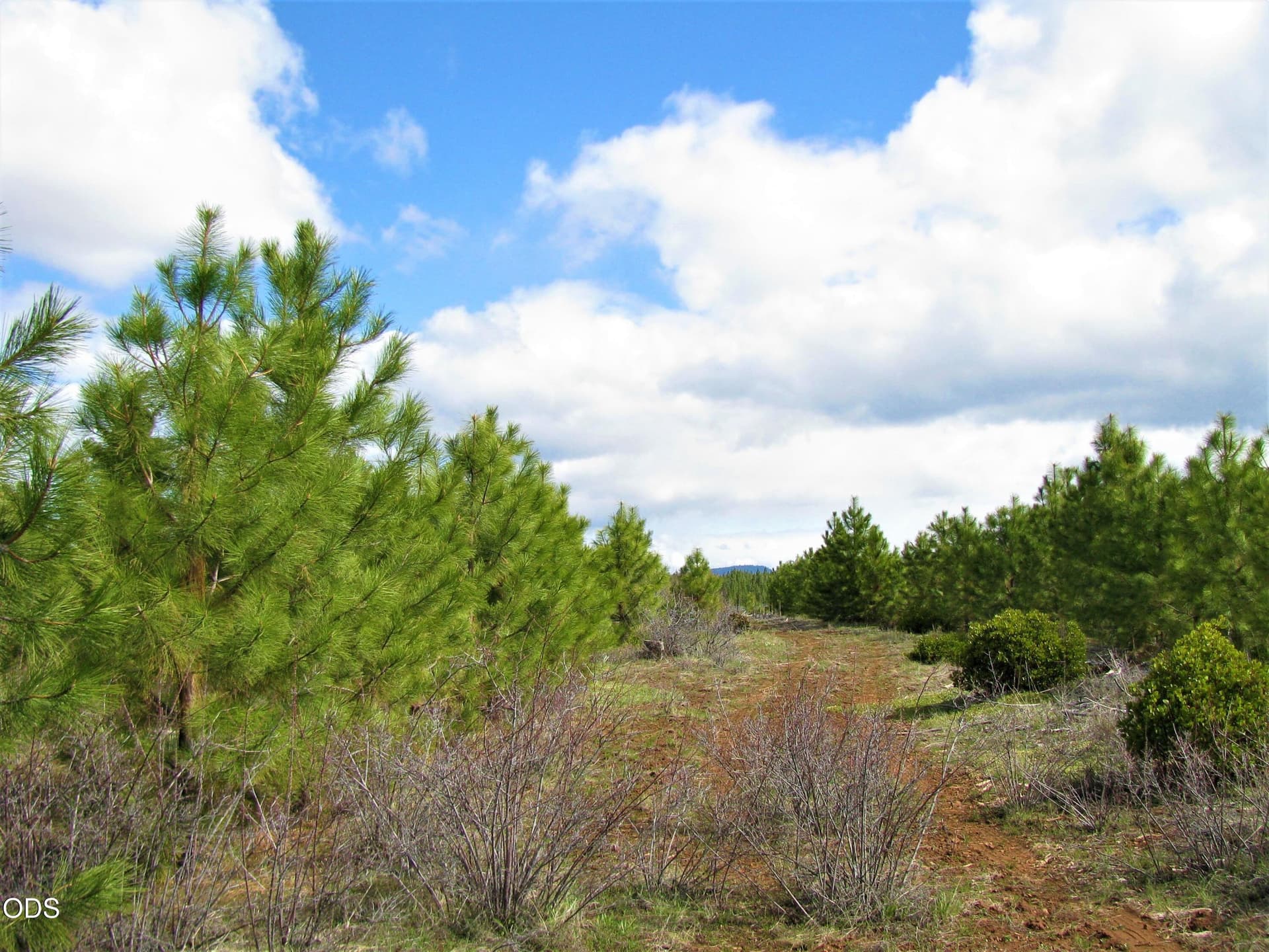 Lot. Photo 2 of 11, 0 Greensprings Drive Unit 2200, Klamath Falls, OR 97601