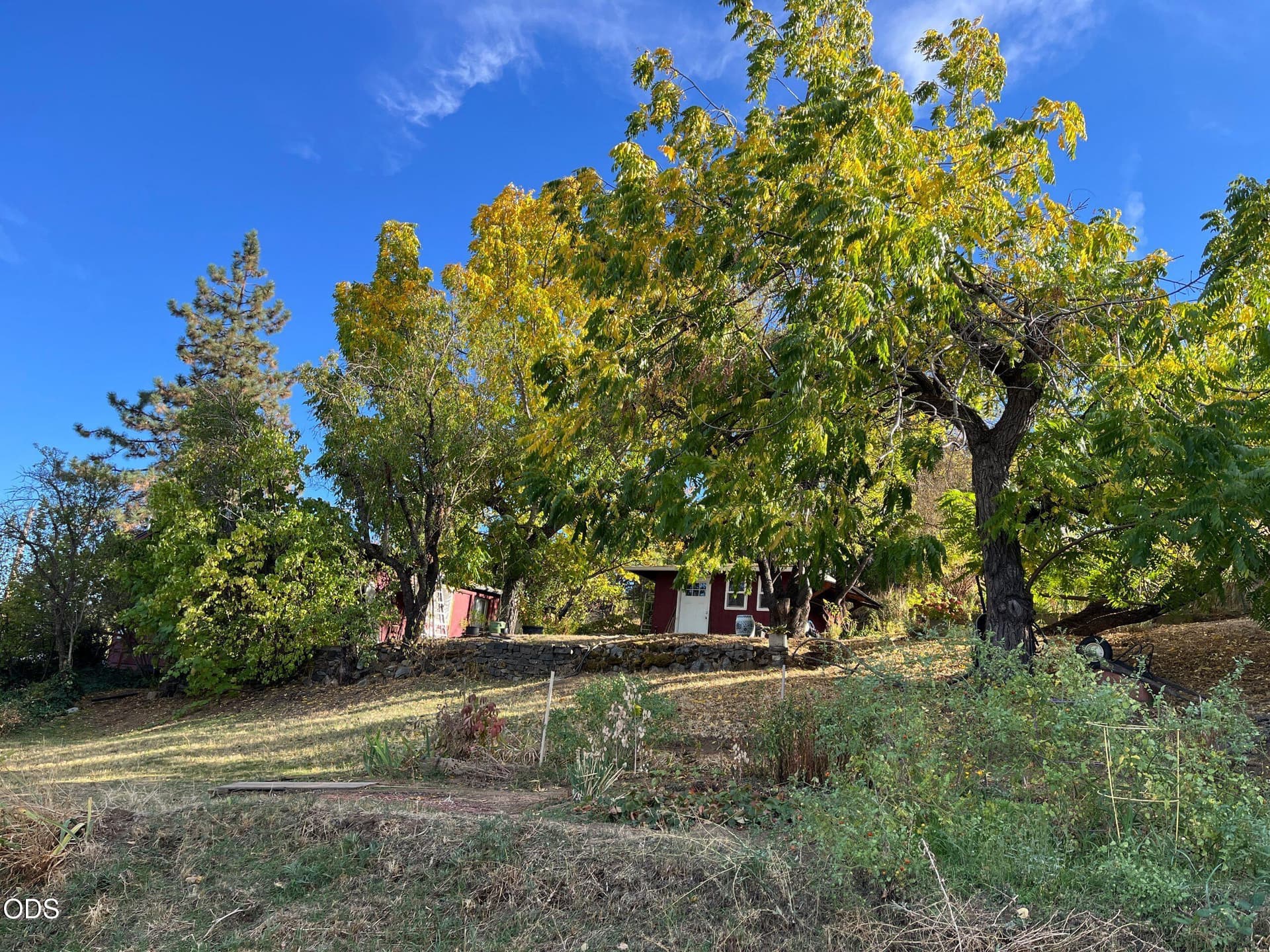 03. Photo 3 of 12, 285 Wimer Street, Ashland, OR 97520