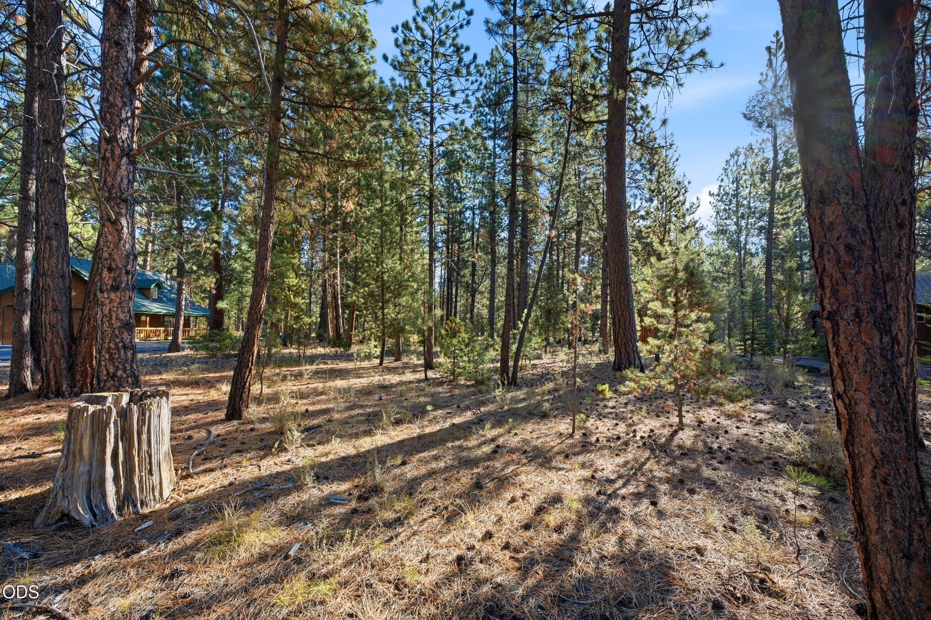 4. Photo 4 of 12, 53488 Brookie Way, La Pine, OR 97739