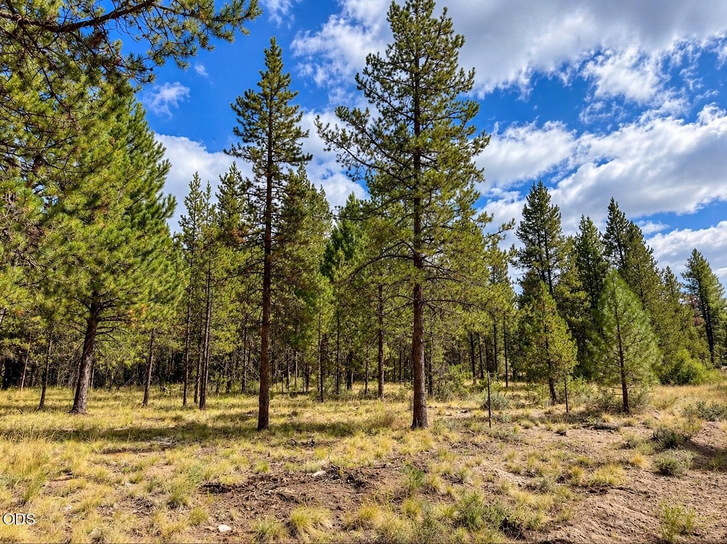 5. Photo 3 of 8, 16331 Big Buck Lane, Bend, OR 97707