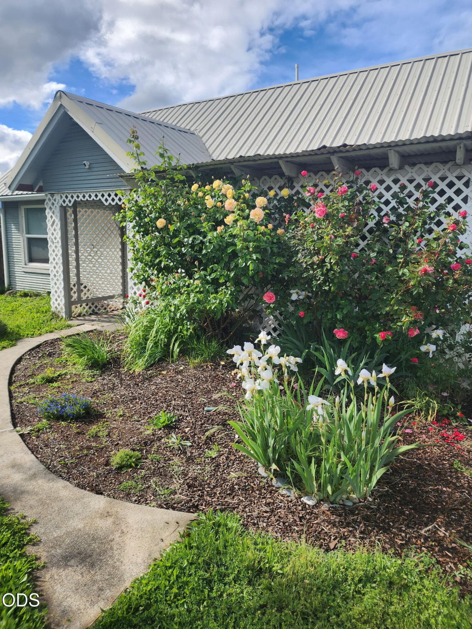 Berrydale flower pic 2. Photo 2 of 34, 247 Berrydale Avenue, Medford, OR 97501