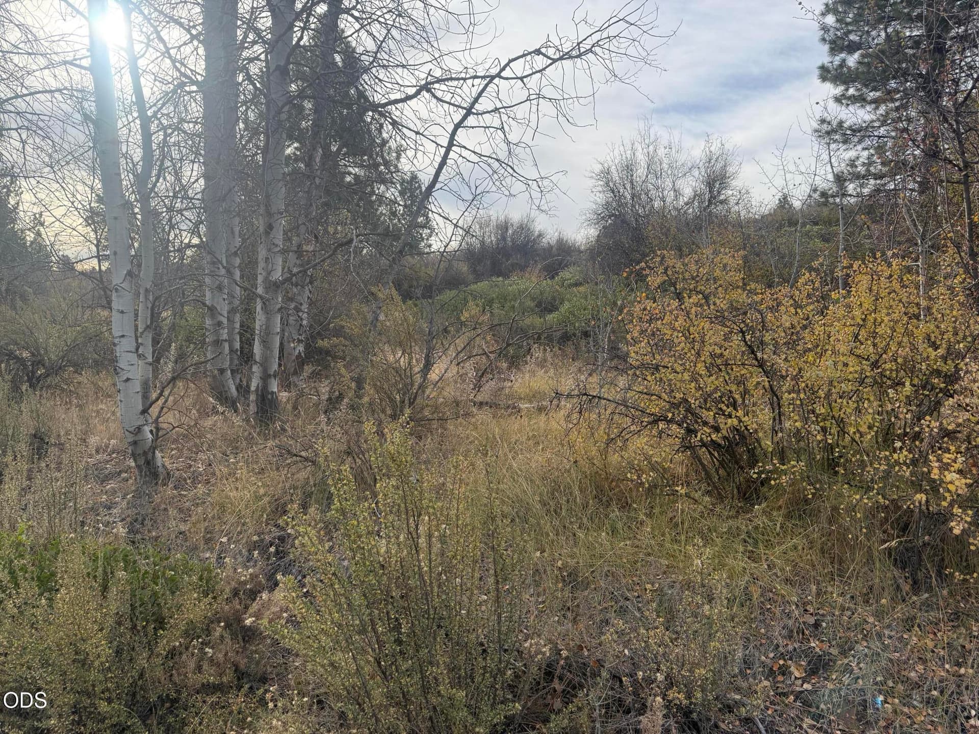 IMG_1478. Photo 1 of 4, 000 Forest View Drive, Chiloquin, OR 97624