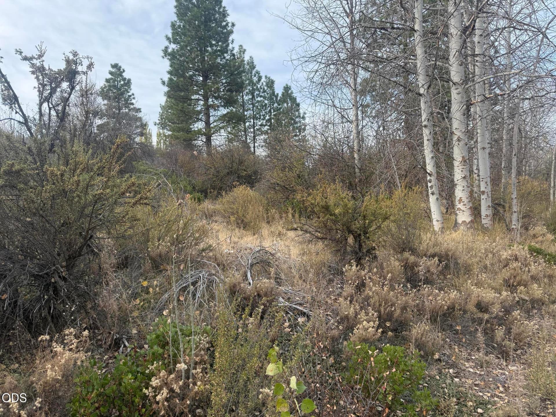 IMG_1476. Photo 4 of 4, 000 Forest View Drive, Chiloquin, OR 97624