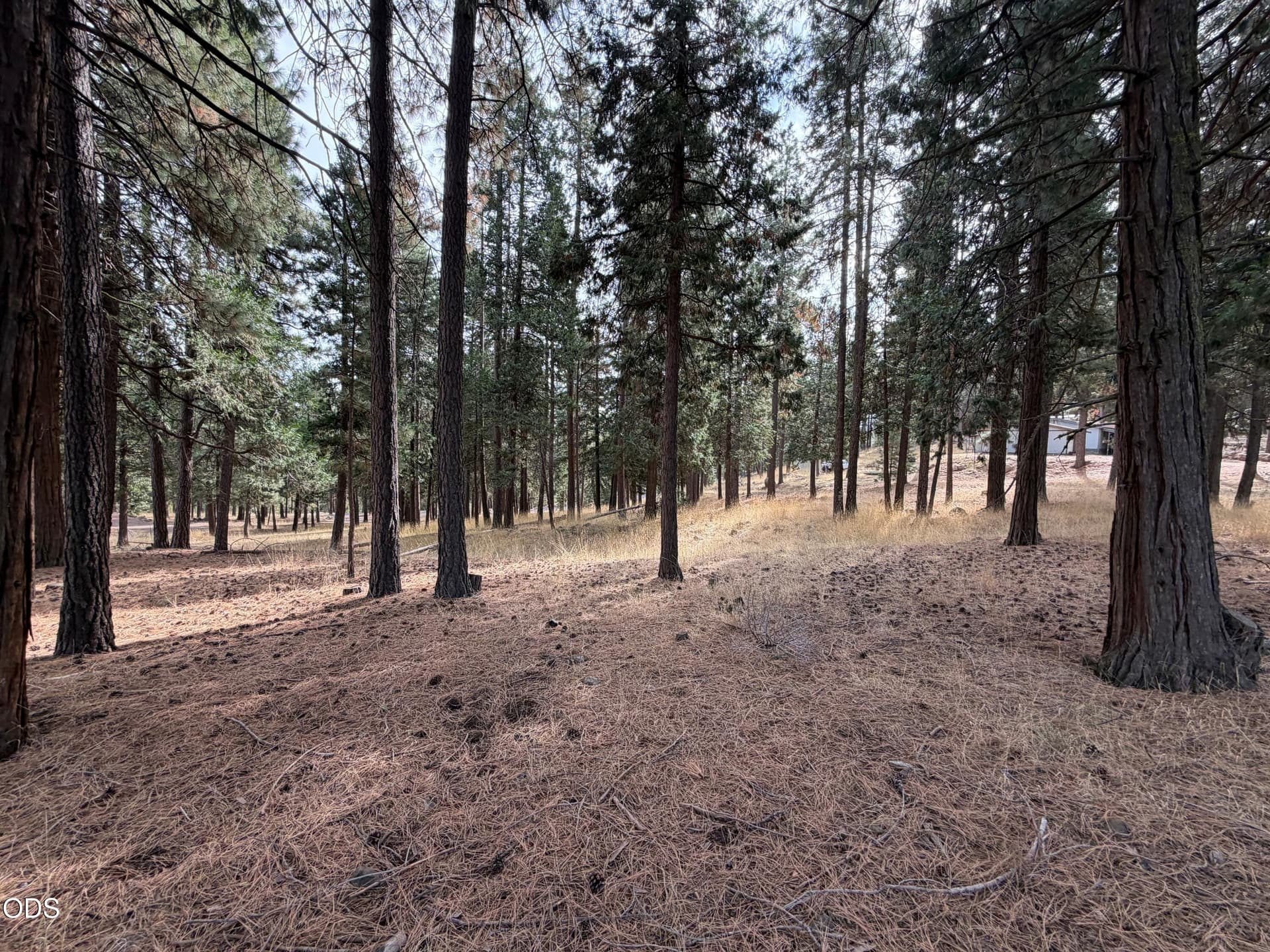 Lot. Photo 1 of 1, 17614 Hamaker Lane, Klamath Falls, OR 97601