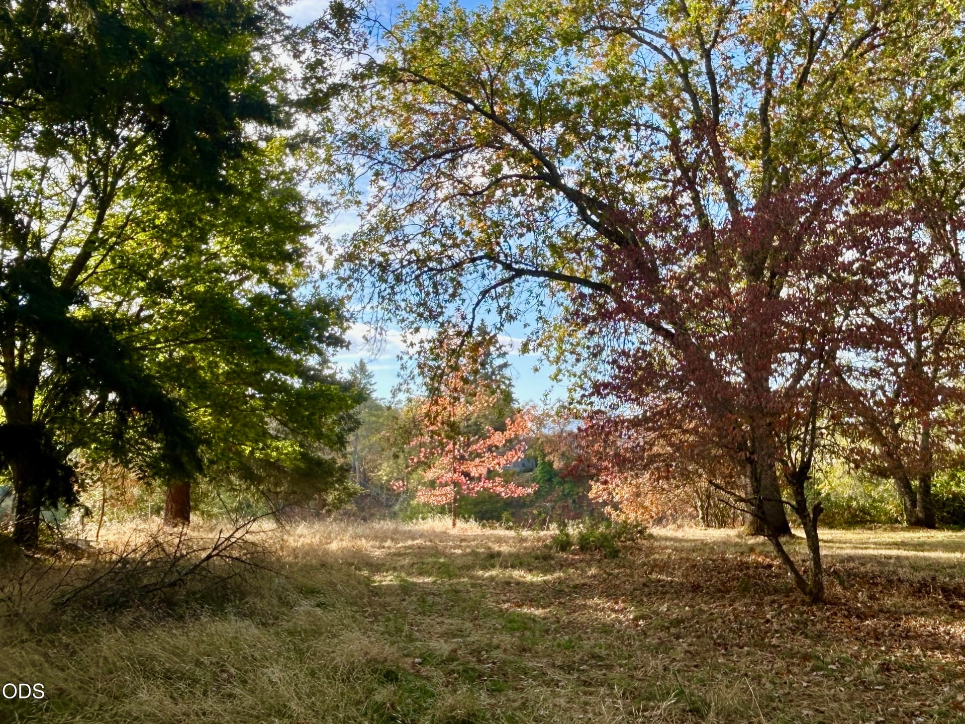 IMG_2929. Photo 2 of 5, 1219 Summer Lane, Grants Pass, OR 97526